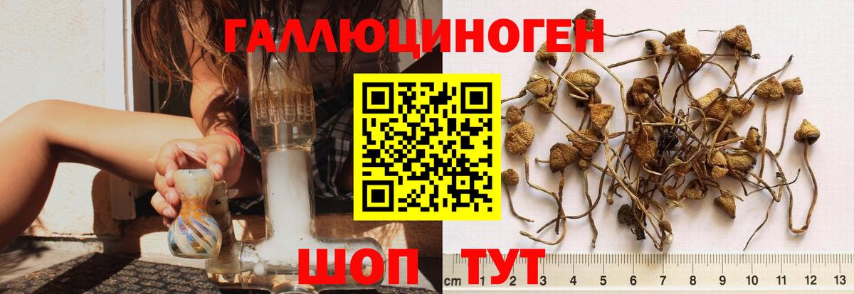 Холмск  Псилоцибиновые грибы Magic Shrooms  Вход с VPN  Галлюциногенные грибы Magic Shrooms 